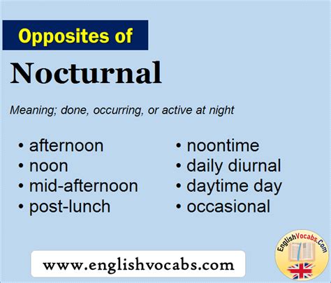 nocturnal opposite word